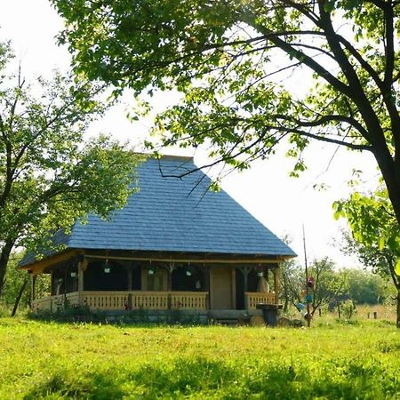 Casuta Din Gradina Daire Breb Dış mekan fotoğraf