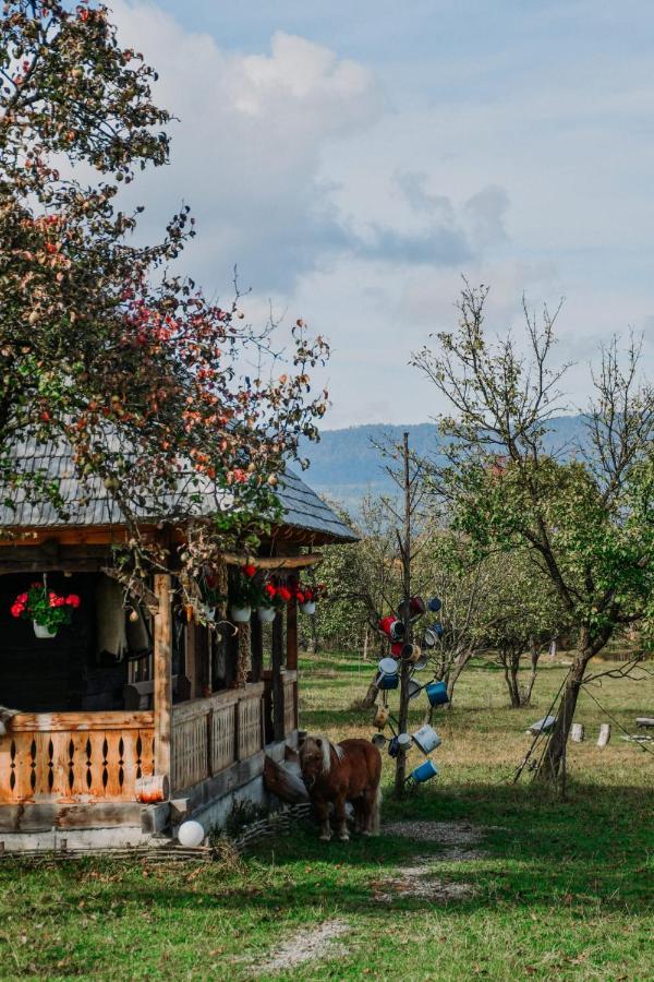 Casuta Din Gradina Daire Breb Dış mekan fotoğraf