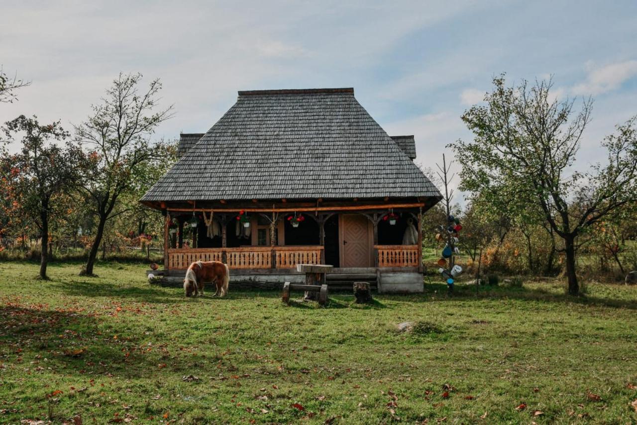 Casuta Din Gradina Daire Breb Dış mekan fotoğraf