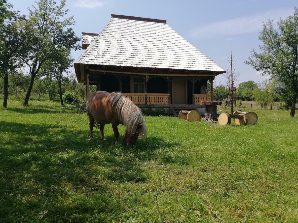 Casuta Din Gradina Daire Breb Dış mekan fotoğraf